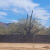 Photo of Mobile Home Lot