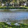 Bear Creek Village
