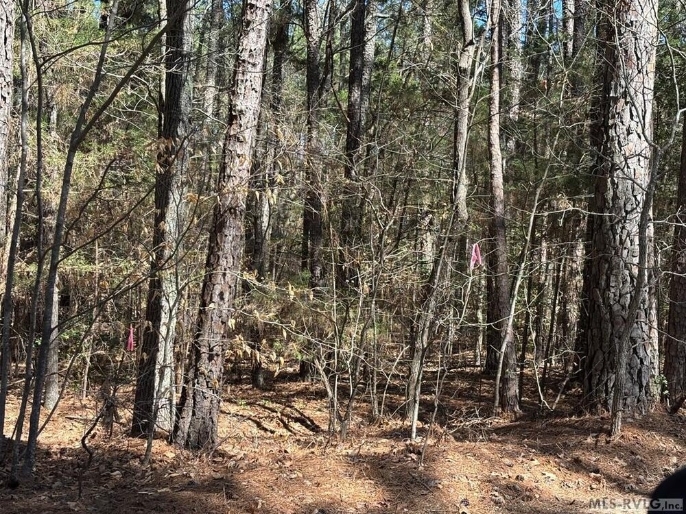 Photo of Mobile Home Lot