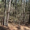 Photo of Mobile Home Lot