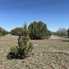 Photo of Mobile Home Lot