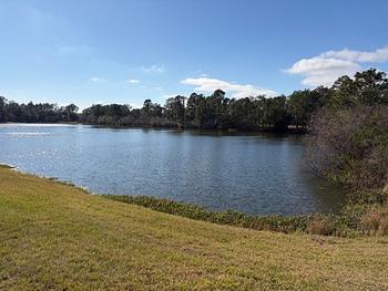 Cypress Lakes Village