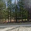 Mobile Home for Sale: 1977 Mobile Home