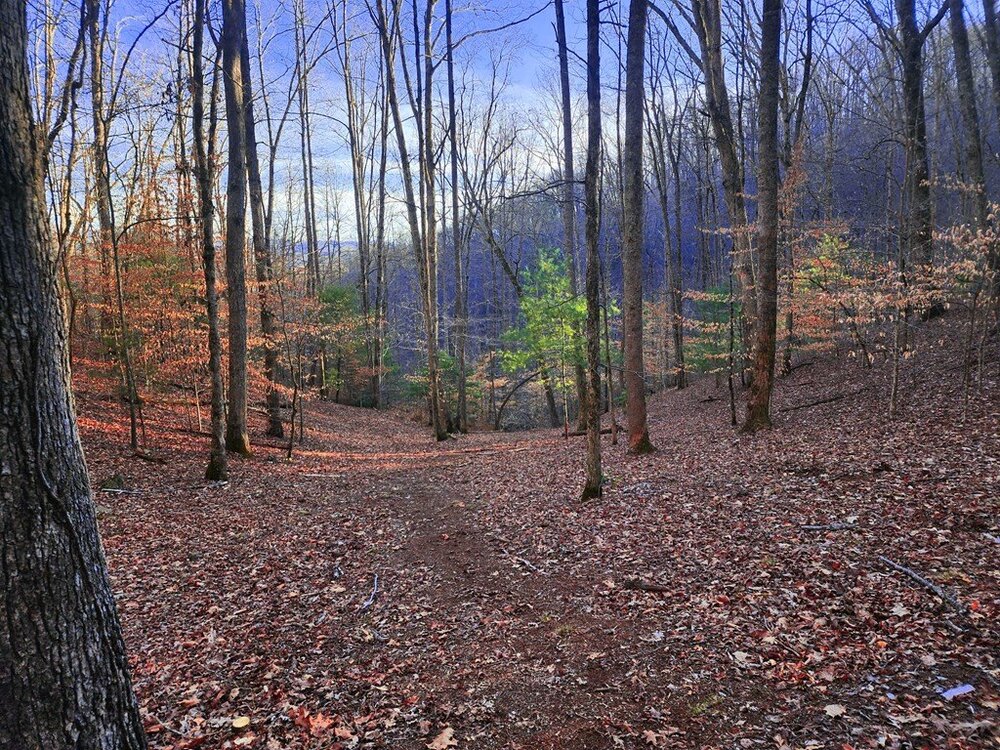 Photo of Mobile Home Lot