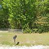 Mobile Home for Sale: 3 Bed 2 Bath 2016 Mobile Home