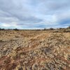 Photo of Mobile Home Lot
