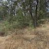 Mobile Home for Sale: 2 Bed 1 Bath 1971 Mobile Home