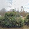 Mobile Home for Sale: Mobile Home