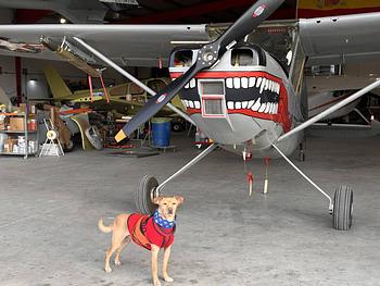 Thumbnail of aircraft