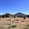 Photo of Mobile Home Lot