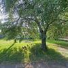Mobile Home for Sale: 3 Bed 2 Bath 1995 Mobile Home