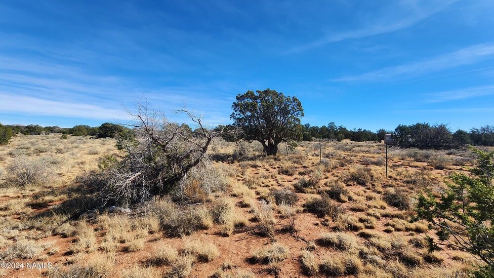 Photo of Mobile Home Lot