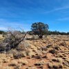 Photo of Mobile Home Lot
