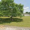 Mobile Home for Sale: 2003 Mobile Home