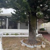 Mobile Home for Sale: Move-In Ready 2 Bed/2 Bath in Coral Cay 55+ Community, Margate, FL
