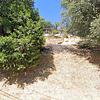 Mobile Home for Sale: 2 Bed 2 Bath 1968 Mobile Home
