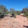 Photo of Mobile Home Lot