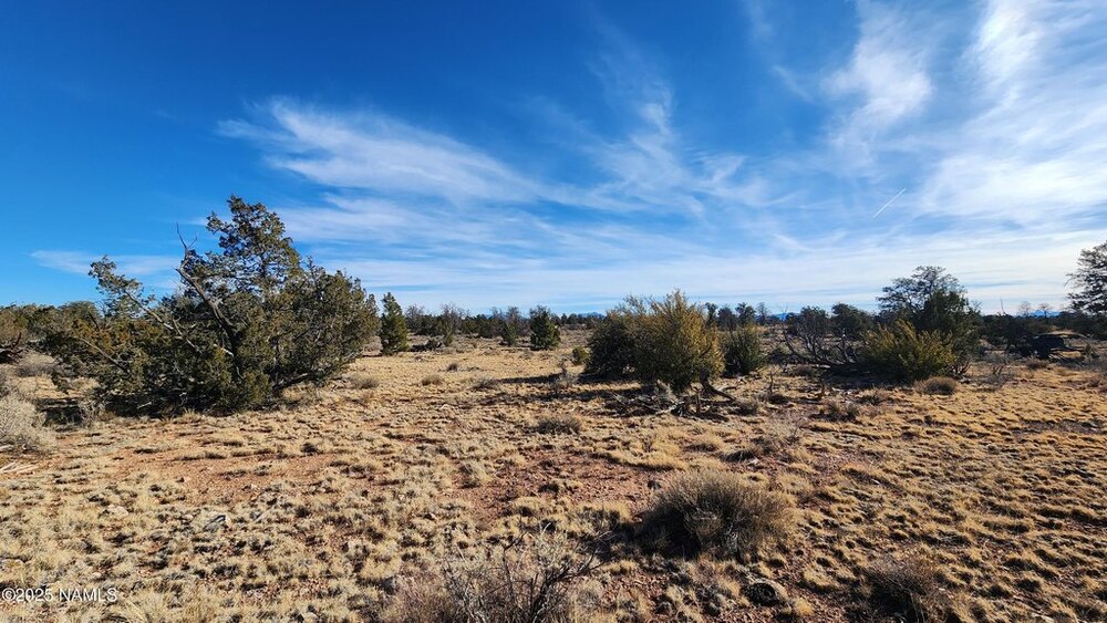 Photo of Mobile Home Lot