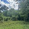 Mobile Home Lot for Sale: Surrounded by Nice Homes! Prev. Mobile Home Lot!, Society Hill, SC