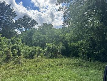 Thumbnail of mobile home lot