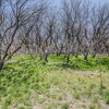 Mobile Home for Sale: Manufactured Home - Camp Verde, AZ, Camp Verde, AZ