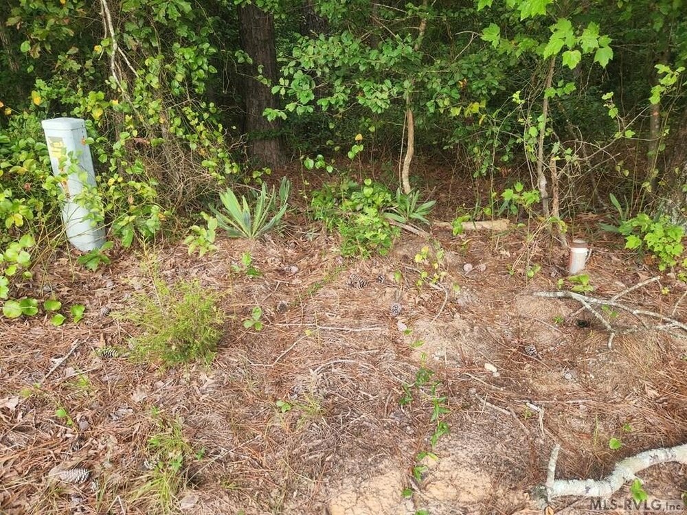 Photo of Mobile Home Lot