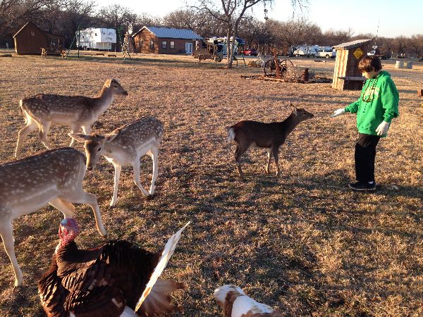 Photo of RV Park/Campground