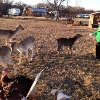 Photo of RV Park/Campground