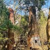 Photo of Mobile Home Lot