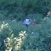Photo of RV Lot