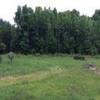 Mobile Home Lot for Sale: NC, STANFIELD - Land for sale., Stanfield, NC