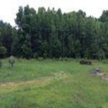 Thumbnail of mobile home lot