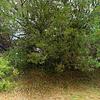 Mobile Home for Sale: 3 Bed 2 Bath 1997 Mobile Home