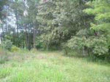 Photo of Mobile Home Lot