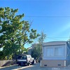 Mobile Home for Sale: 2 Bed 1 Bath 1967 Mobile Home