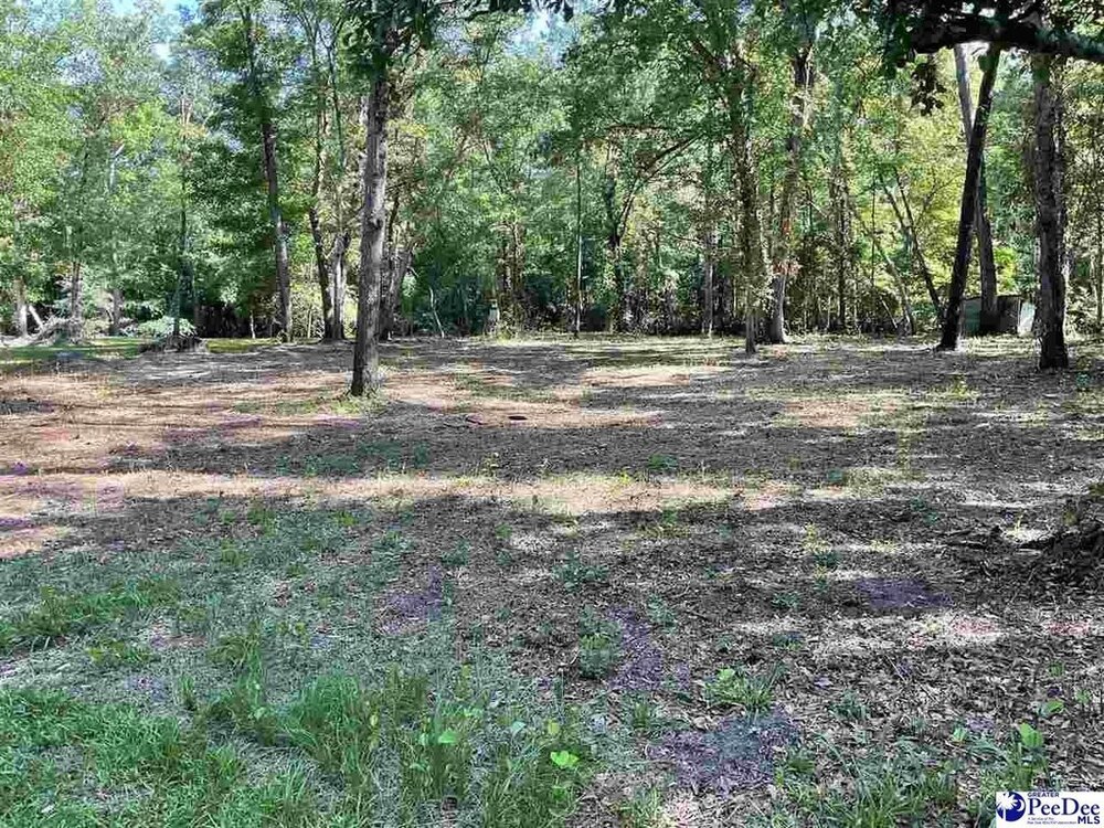 Photo of Mobile Home Lot