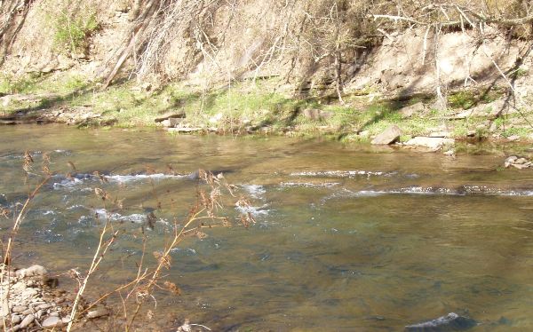 Photo of Mobile Home Lot