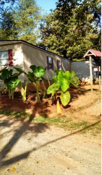 Photo of Mobile Home Park