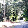Mobile Home for Sale: 3 Bed 2 Bath 2004 Mobile Home