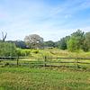 Mobile Home for Sale: Mobile Home