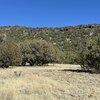 Mobile Home Lot for Sale: Mobile Home - Seligman, AZ, Seligman, AZ
