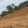 RV Park for Sale: DEVELOPER WANTS HELP!!!   OPENING SOON!!!   LOOKING FOR 49% PARTNER  42 MILES NORTH OF PANAMA CITY BEACH, Alford, FL