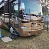 RV for Sale: 2010 ALLEGRO BUS 36QSP