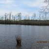 Photo of Mobile Home Lot