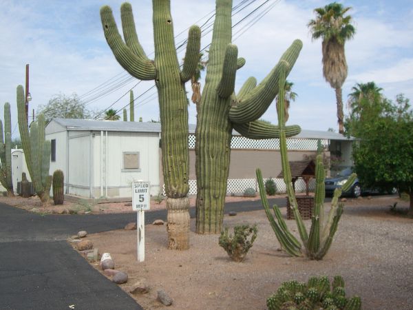 Photo of Mobile Home Park