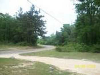 Photo of Mobile Home Lot