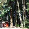RV Park: View Crest Lodge, Trinidad, CA