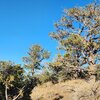 Photo of Mobile Home Lot