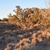 Photo of Mobile Home Lot