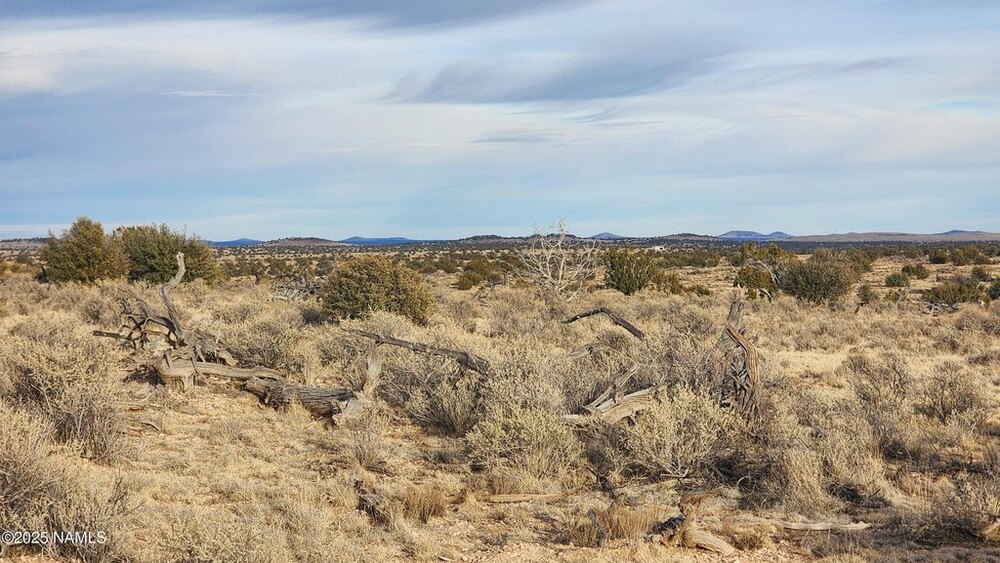 Photo of Mobile Home Lot